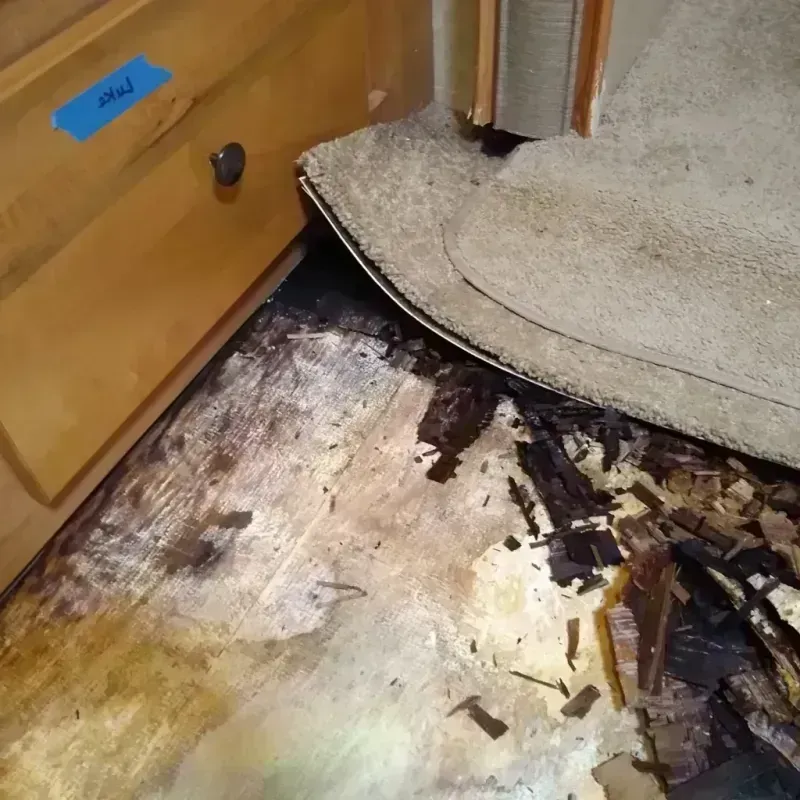 Wood Floor Water Damage in Arma, KS